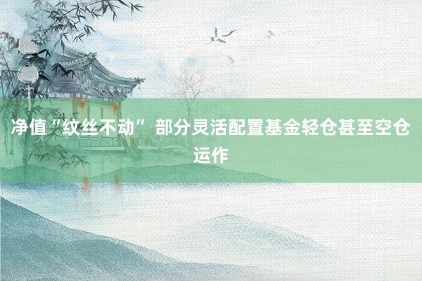 净值“纹丝不动” 部分灵活配置基金轻仓甚至空仓运作